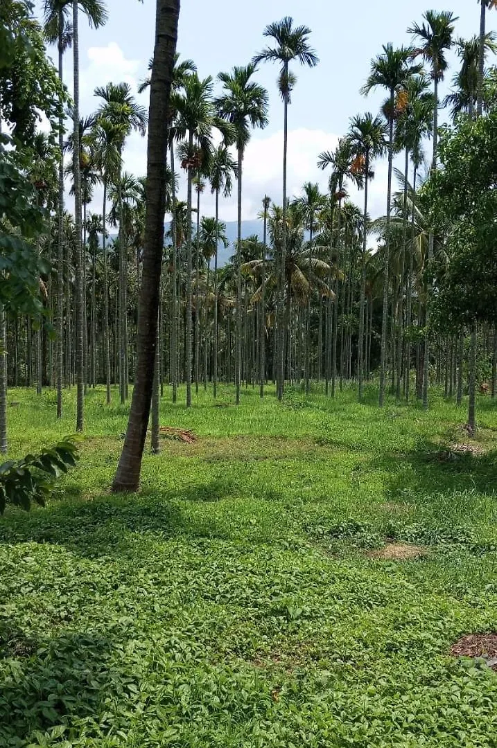 فيلة Rosewood Farmhouse Kanthalloor