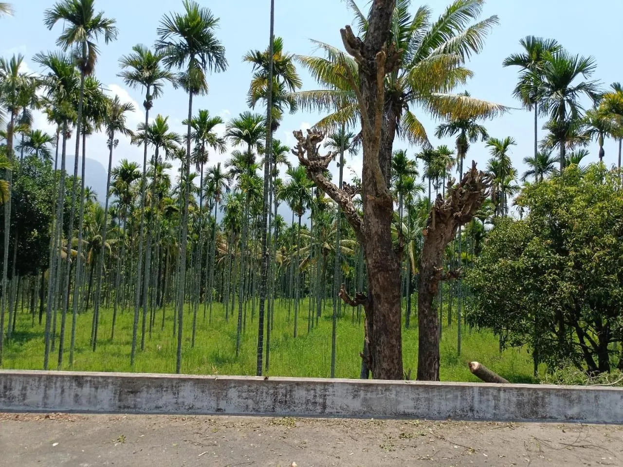 Rosewood Farmhouse Kanthalloor فيلة